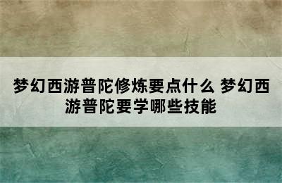 梦幻西游普陀修炼要点什么 梦幻西游普陀要学哪些技能